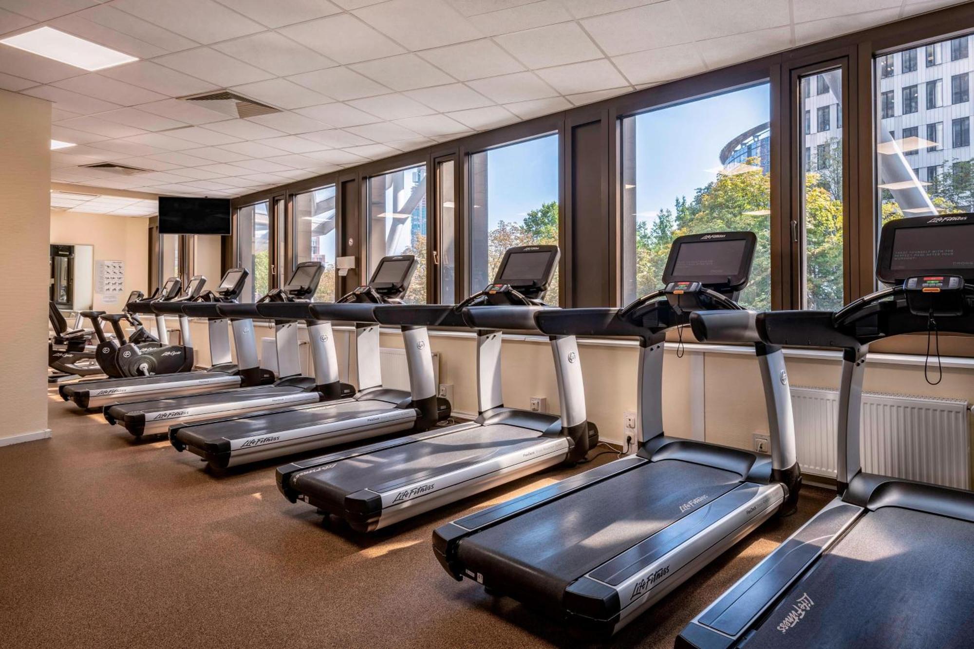 פרנקפורט Frankfurt Marriott Hotel מראה חיצוני תמונה The gym at the hotel